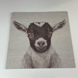 Goat Print Square plywood art print 12 x 12(sold individually)
